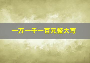 一万一千一百元整大写