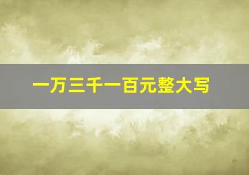 一万三千一百元整大写