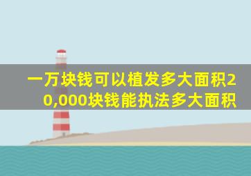 一万块钱可以植发多大面积20,000块钱能执法多大面积