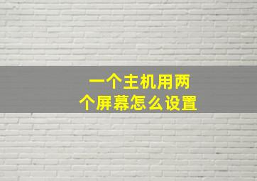 一个主机用两个屏幕怎么设置