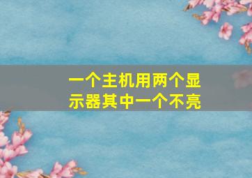 一个主机用两个显示器其中一个不亮