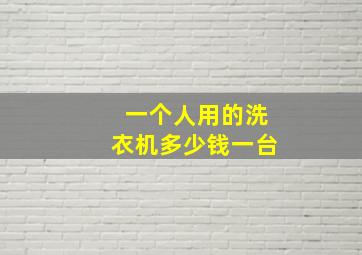 一个人用的洗衣机多少钱一台