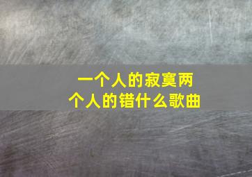 一个人的寂寞两个人的错什么歌曲