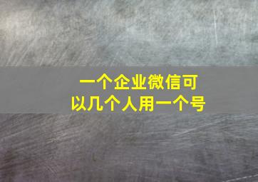 一个企业微信可以几个人用一个号