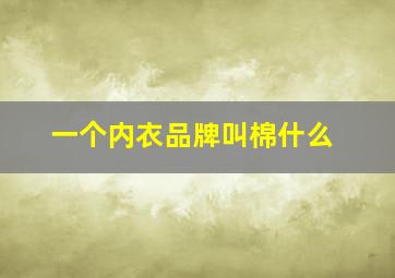 一个内衣品牌叫棉什么