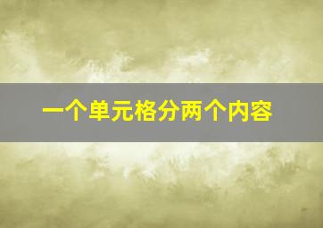 一个单元格分两个内容