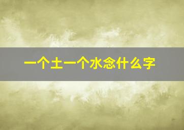 一个土一个水念什么字