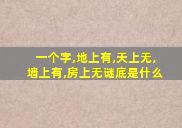 一个字,地上有,天上无,墙上有,房上无谜底是什么