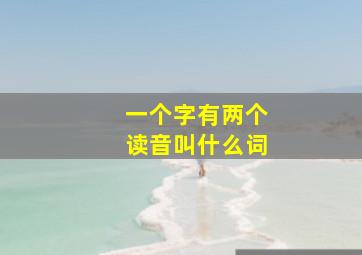 一个字有两个读音叫什么词