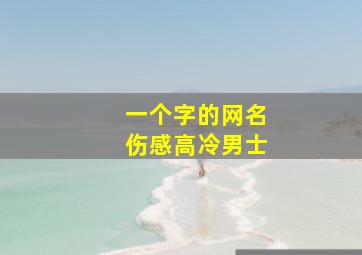 一个字的网名伤感高冷男士