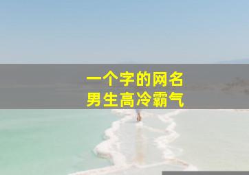 一个字的网名男生高冷霸气