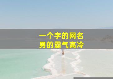 一个字的网名男的霸气高冷