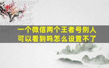 一个微信两个王者号别人可以看到吗怎么设置不了