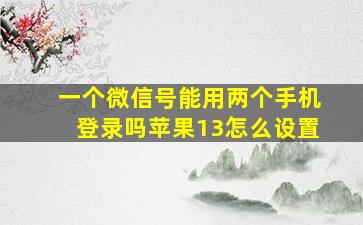 一个微信号能用两个手机登录吗苹果13怎么设置