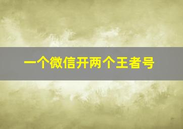 一个微信开两个王者号