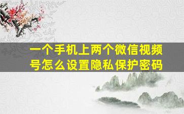 一个手机上两个微信视频号怎么设置隐私保护密码