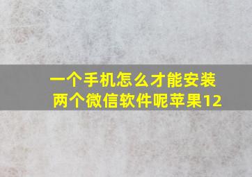 一个手机怎么才能安装两个微信软件呢苹果12