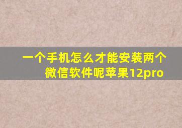 一个手机怎么才能安装两个微信软件呢苹果12pro