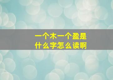 一个木一个盈是什么字怎么读啊