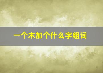 一个木加个什么字组词