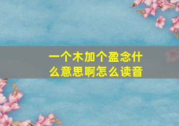 一个木加个盈念什么意思啊怎么读音