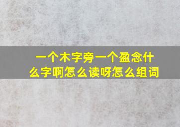 一个木字旁一个盈念什么字啊怎么读呀怎么组词