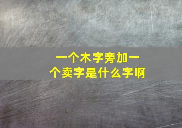 一个木字旁加一个卖字是什么字啊