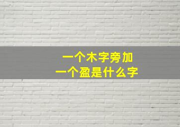 一个木字旁加一个盈是什么字