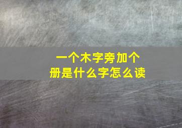 一个木字旁加个册是什么字怎么读