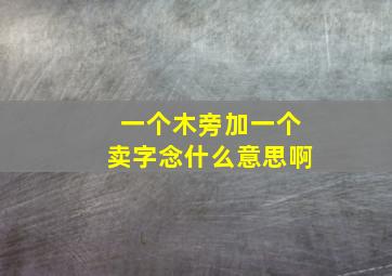 一个木旁加一个卖字念什么意思啊