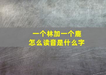 一个林加一个鹿怎么读音是什么字