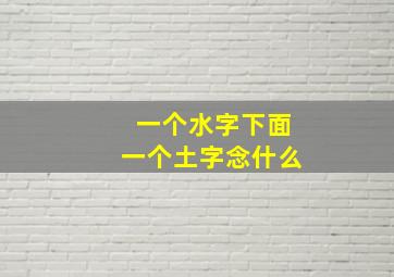 一个水字下面一个土字念什么