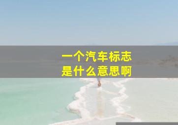 一个汽车标志是什么意思啊