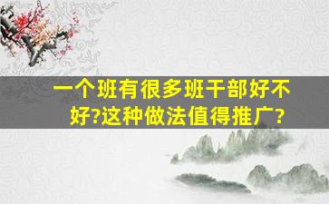 一个班有很多班干部好不好?这种做法值得推广?