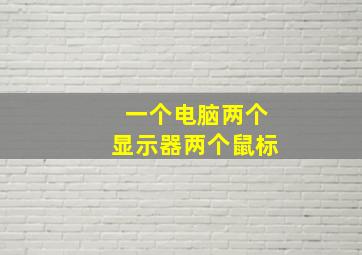 一个电脑两个显示器两个鼠标