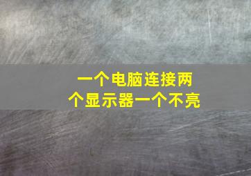 一个电脑连接两个显示器一个不亮