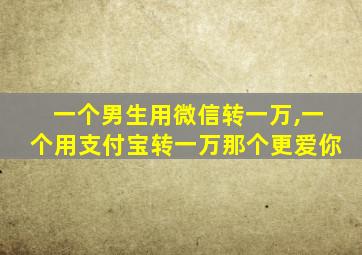 一个男生用微信转一万,一个用支付宝转一万那个更爱你