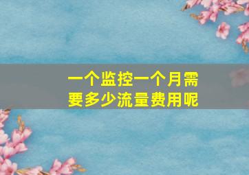 一个监控一个月需要多少流量费用呢