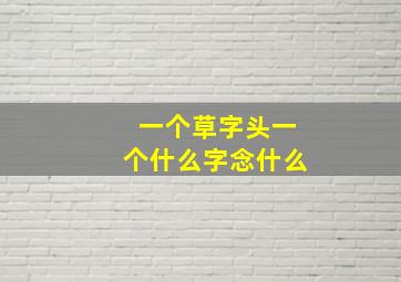 一个草字头一个什么字念什么