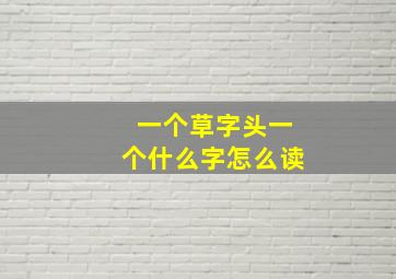 一个草字头一个什么字怎么读