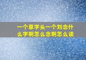 一个草字头一个刘念什么字啊怎么念啊怎么读