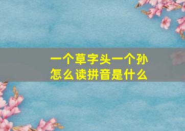 一个草字头一个孙怎么读拼音是什么