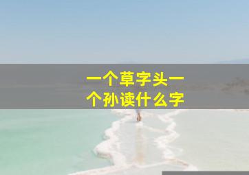 一个草字头一个孙读什么字