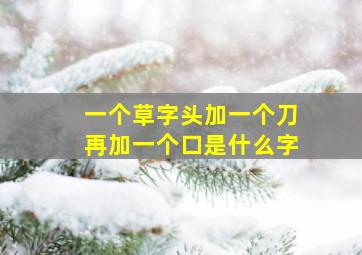 一个草字头加一个刀再加一个口是什么字