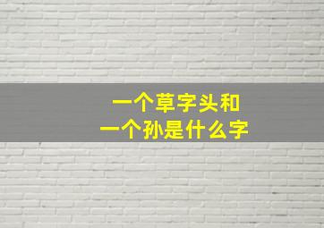 一个草字头和一个孙是什么字