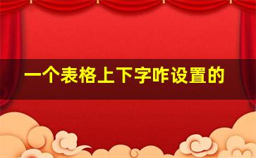 一个表格上下字咋设置的