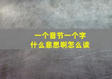 一个音节一个字什么意思啊怎么读