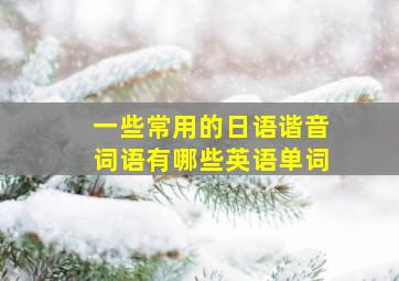 一些常用的日语谐音词语有哪些英语单词