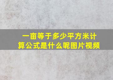 一亩等于多少平方米计算公式是什么呢图片视频