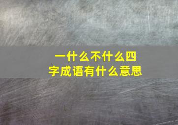 一什么不什么四字成语有什么意思